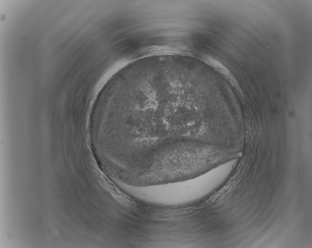 X0000073751427200608241336