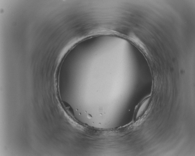 X0000073751430200608241336