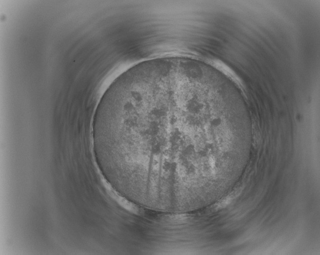 X0000073751431200608241336