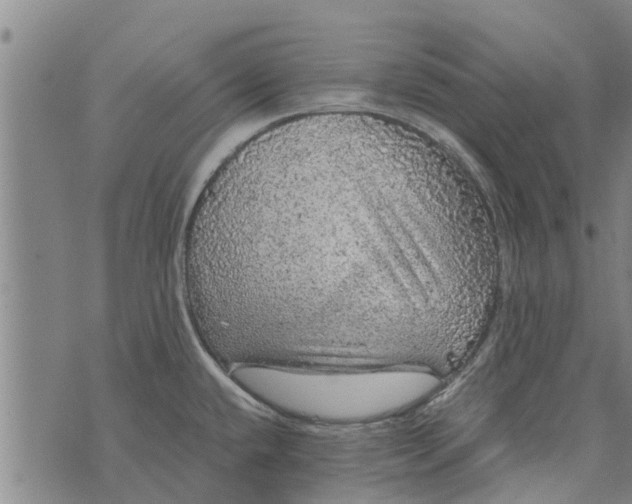 X0000073751432200608241336