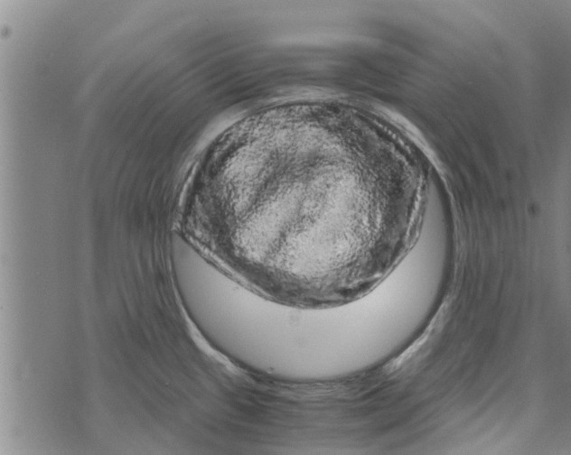 X0000073751433200608241336