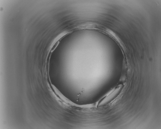 X0000073751434200608241336