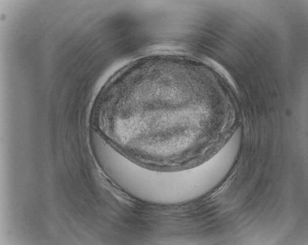 X0000073751435200608241336