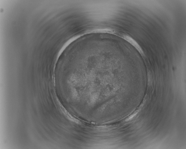 X0000073751436200608241336