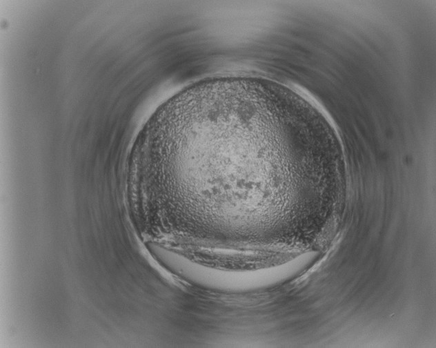 X0000073751437200608241336