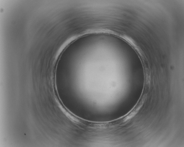 X0000073751438200608241336