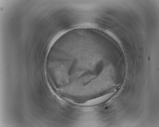 X0000073751440200608241336