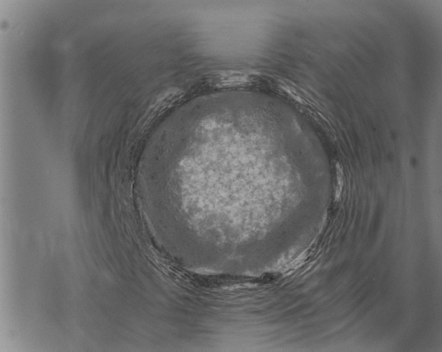 X0000073751441200608241335