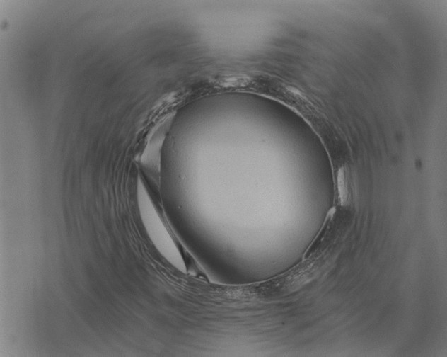 X0000073751443200608241335