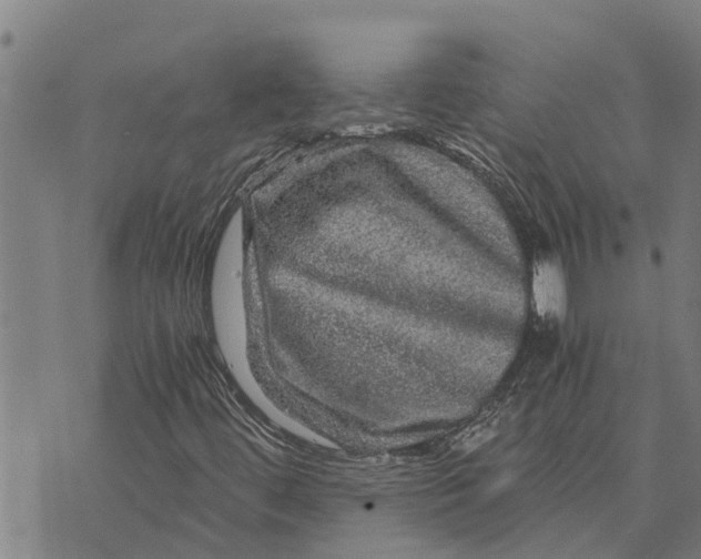 X0000073751444200608241335