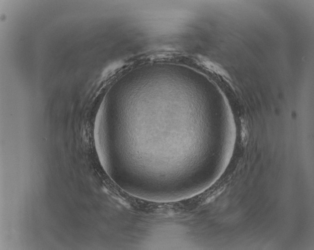 X0000073751445200608241335