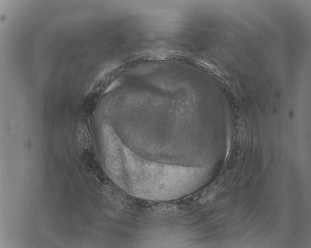 X0000073751446200608241335