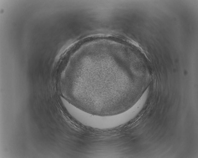 X0000073751448200608241335