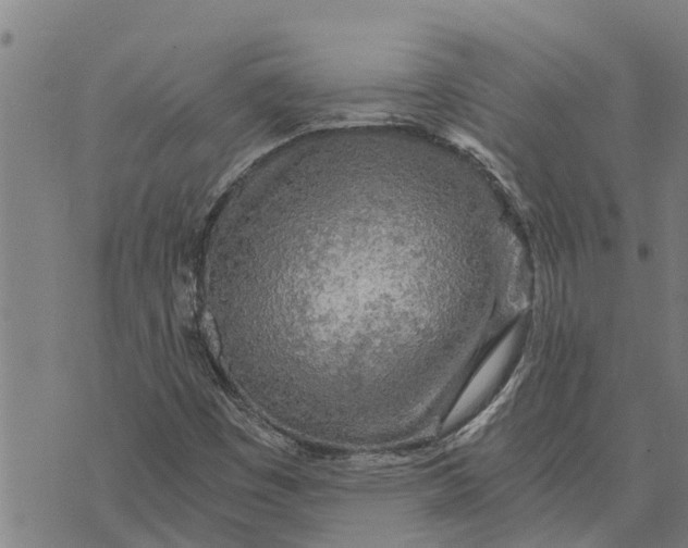 X0000073751449200608241335