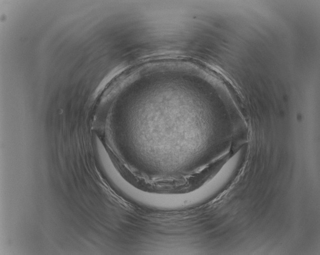 X0000073751450200608241335