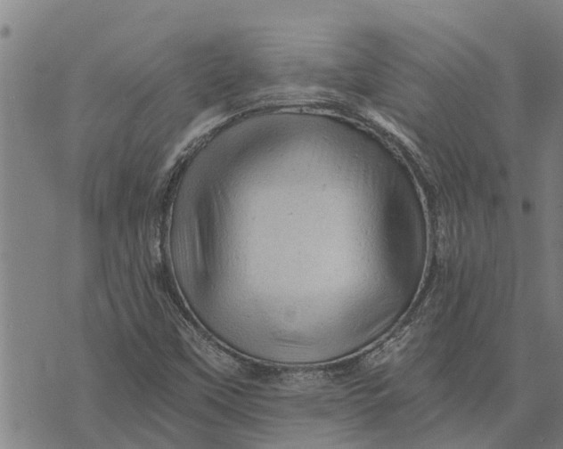 X0000073751451200608241335