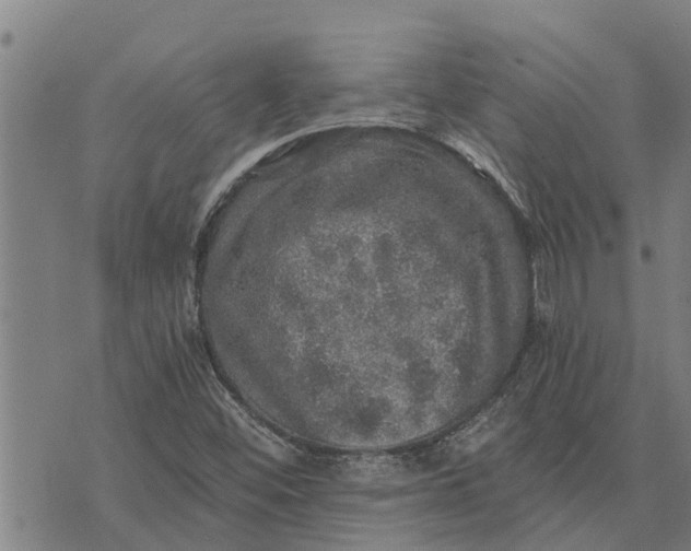 X0000073751452200608241335