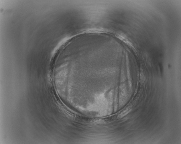 X0000073751454200608241335