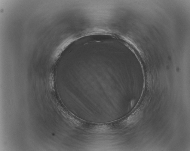 X0000073751455200608241335