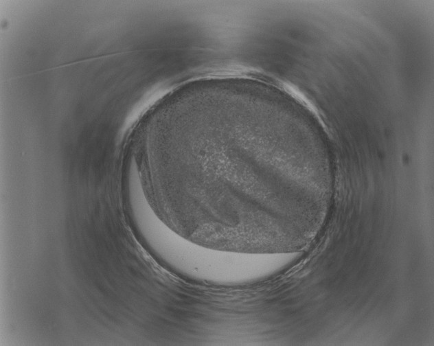 X0000073751456200608241335