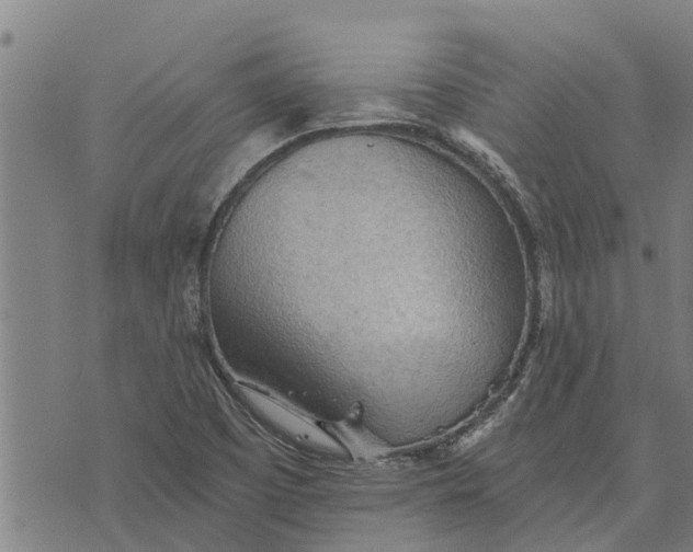 X0000073751457200608241335