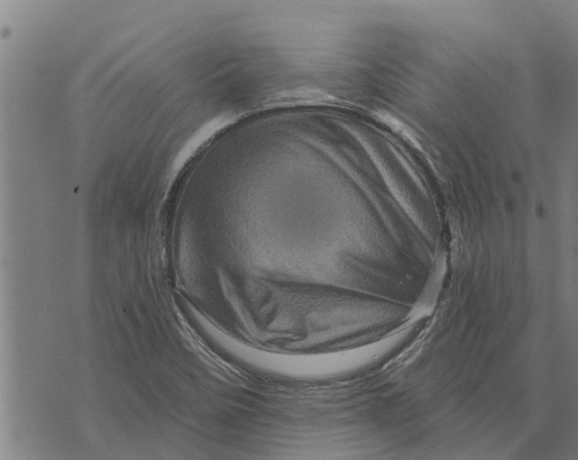 X0000073751458200608241335