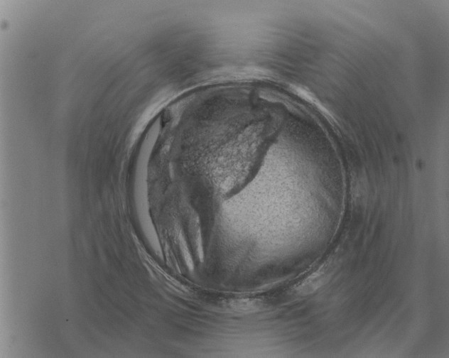 X0000073751459200608241335