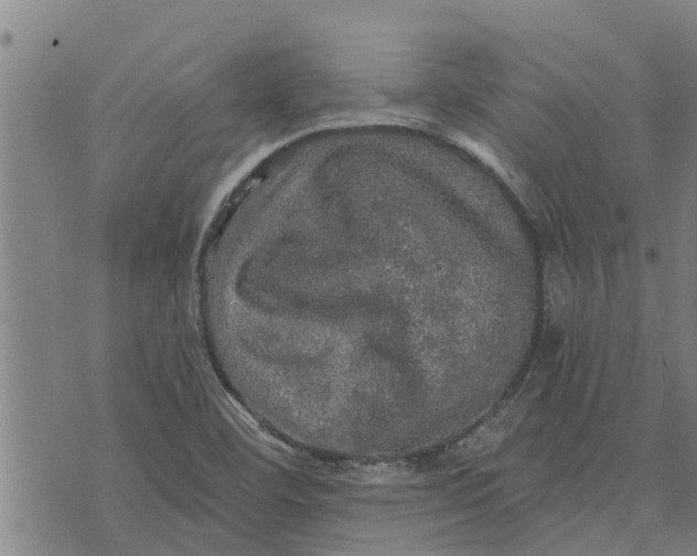 X0000073751460200608241335