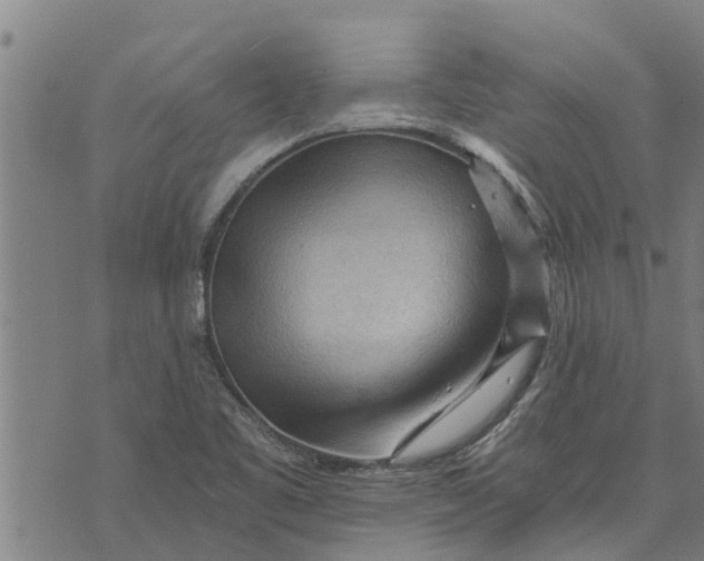 X0000073751461200608241335