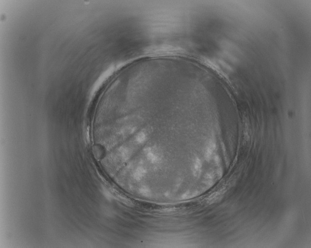 X0000073751462200608241335