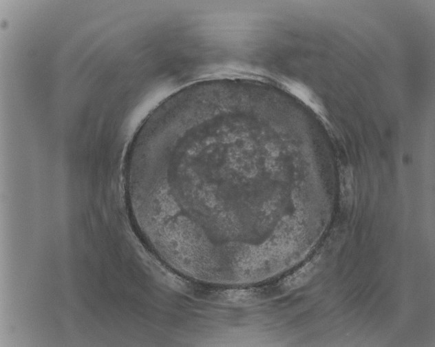 X0000073751463200608241335