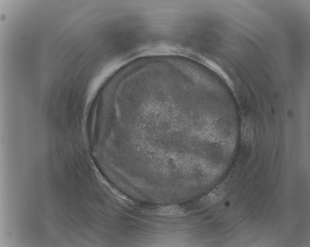 X0000073751464200608241335