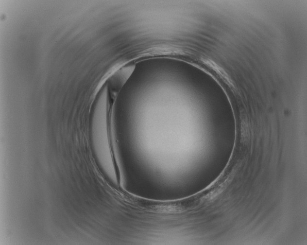 X0000073751465200608241335