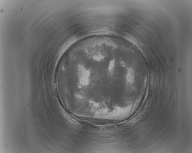 X0000073751466200608241335