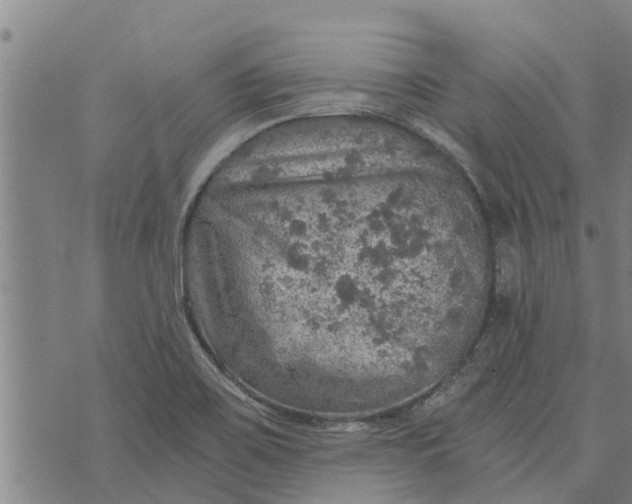 X0000073751467200608241335