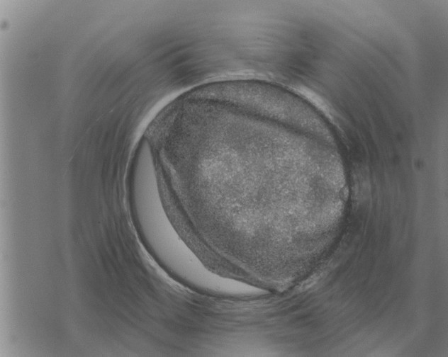 X0000073751468200608241335