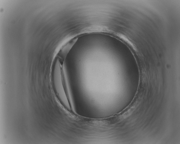 X0000073751469200608241335