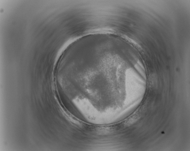 X0000073751470200608241335