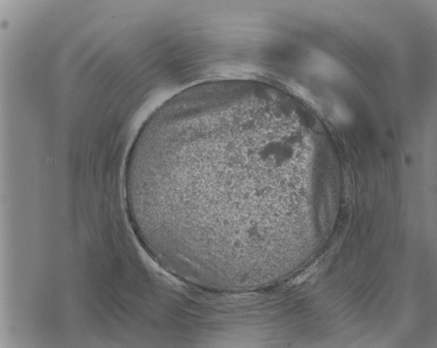 X0000073751471200608241335