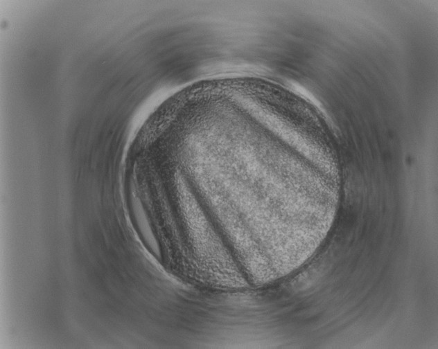 X0000073751472200608241335