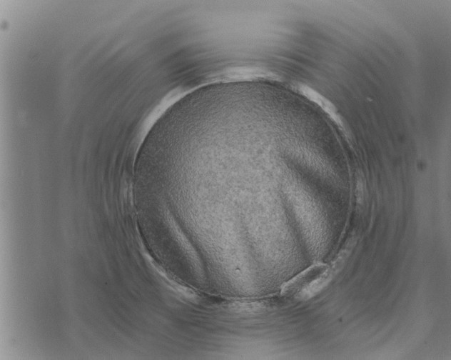 X0000073751473200608241335