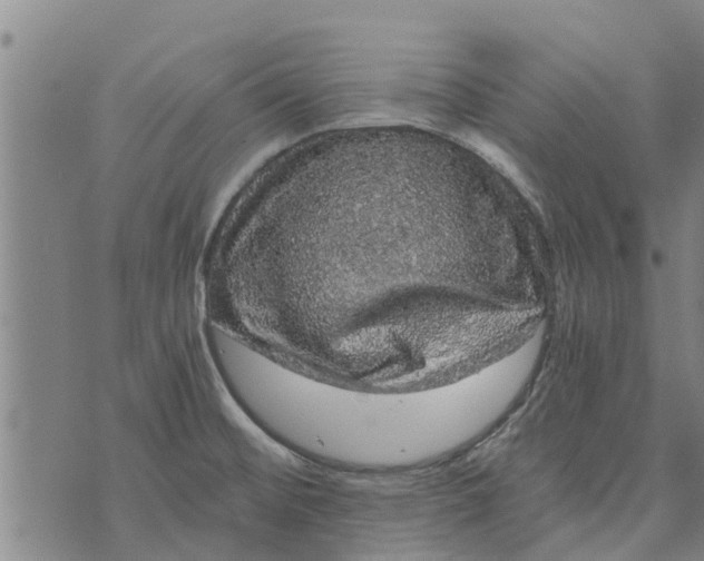 X0000073751476200608241335