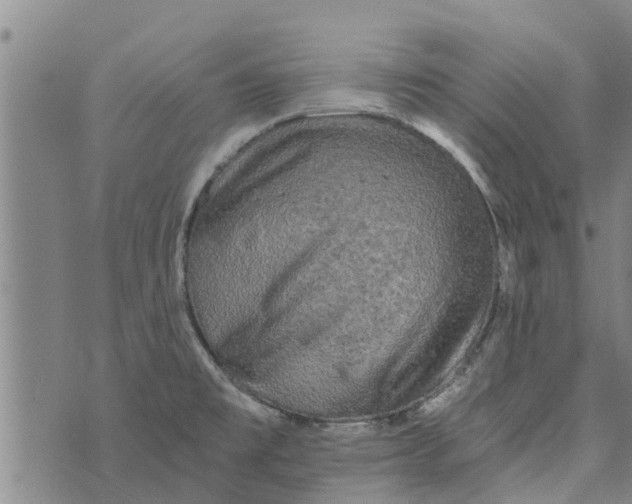 X0000073751477200608241335