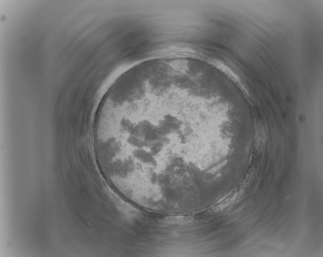 X0000073751478200608241335