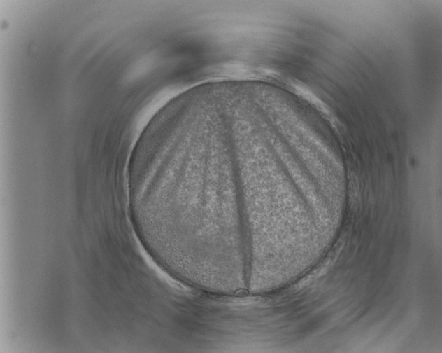 X0000073751479200608241335