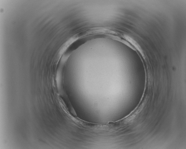 X0000073751481200608241335