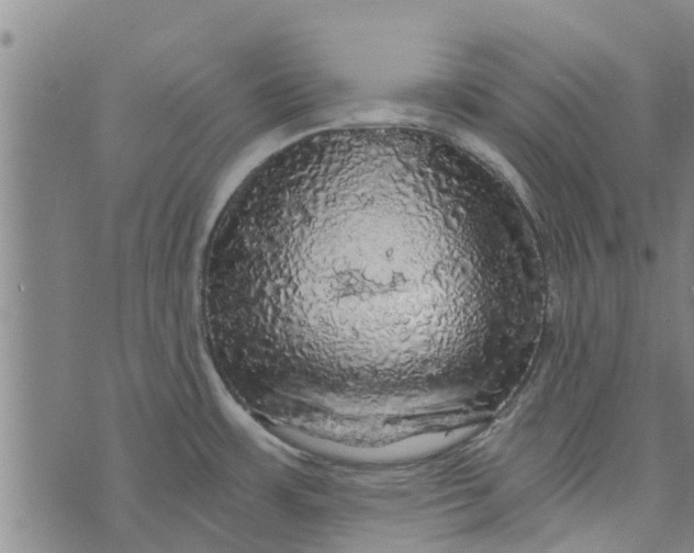 X0000073751483200608241334