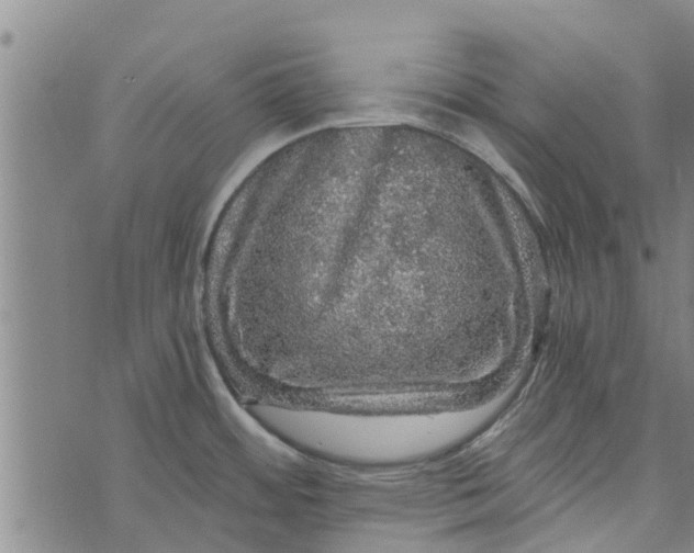 X0000073751484200608241334