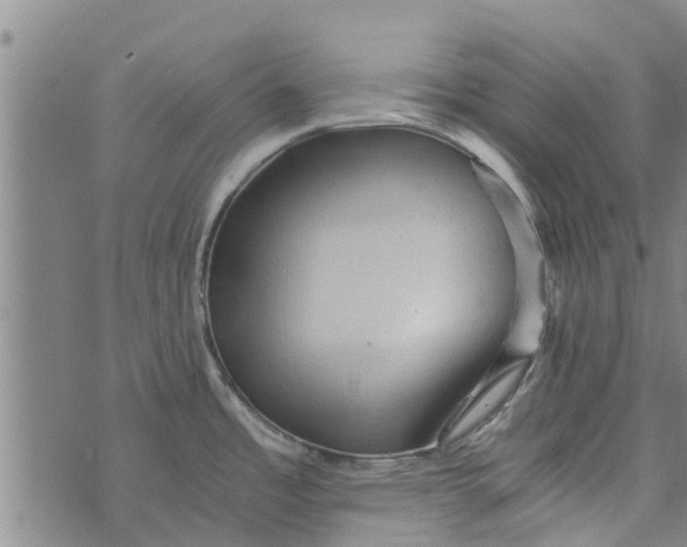 X0000073751485200608241334