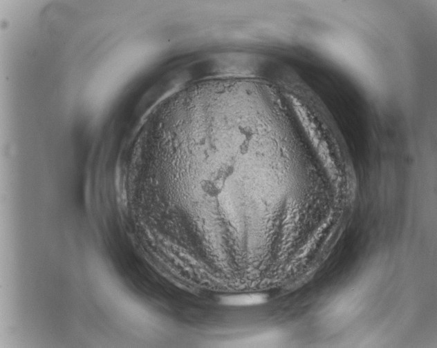 X0000073751487200608241334